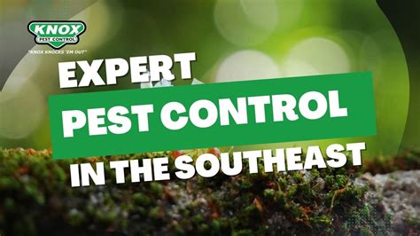 knox pest control|More.